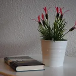 公寓 Kliff Am Balkon Waschmaschine
