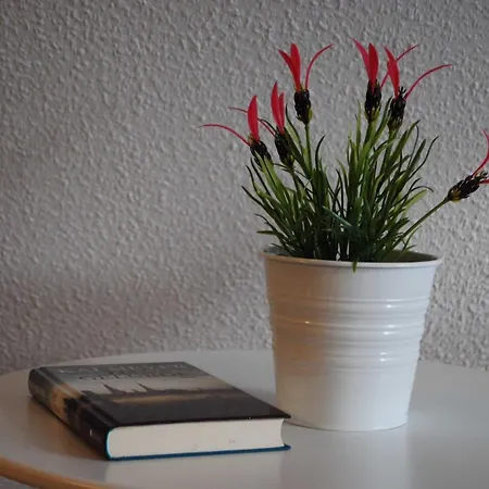 Exkl App Kliff Am Meer, W-lan, Balkon Ostseebad Nienhagen