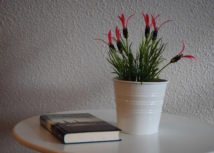 公寓 Kliff Am Balkon Waschmaschine